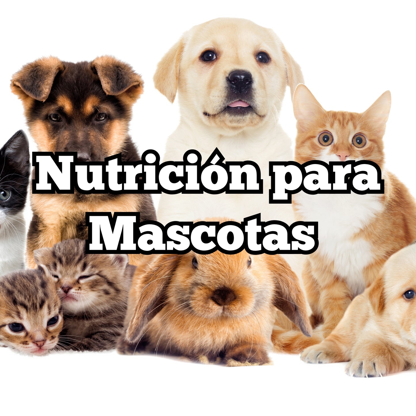 Mega Pack Nutrición y Salud